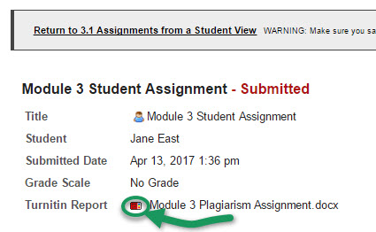 Assignment displayed with the Turnitin Report row, with a square, red status icon link beside it