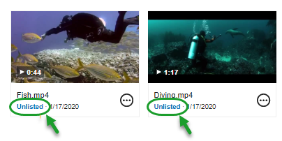 Template:Borderalt=Two videos displayed in a Media Library. Both have the label "Unlisted" under their thumbnails.